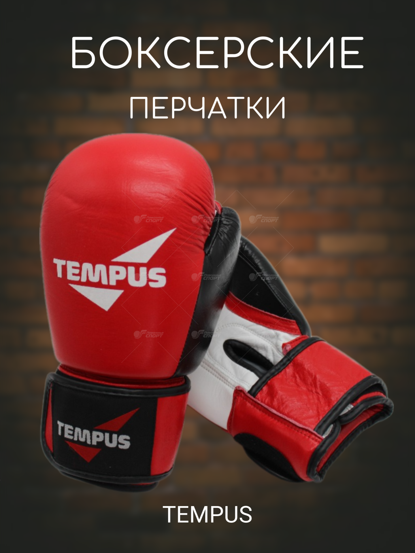 Перчатки боксерские Tempus (нат. кожа) арт.2410 р.10-16ун