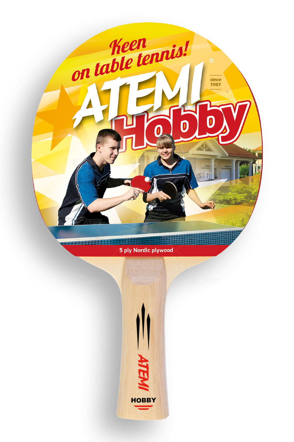 Ракетка н/теннис Atemi Hobby