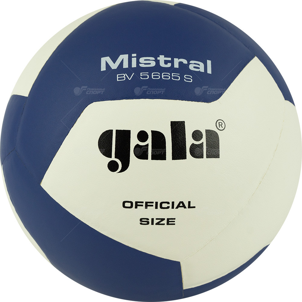 Мяч в/б Gala Mistral 12 арт.BV5665S