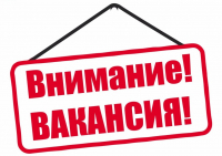 Продавец консультант